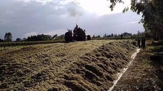 Chris compacting silage