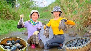 Full Video: Harvesting Frogs, Clams, Snail Goes To Market Sell - Daily Life, Gardening | Tieu Lien