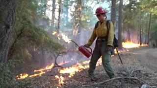 Good Fire: Prescribed Burning