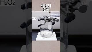 피라냐 용액 || 흥미로운 지식