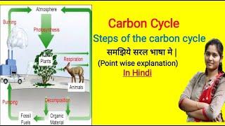 Carbon cycle | Bio-geo-chemical cycle | Steps of carbon cycle