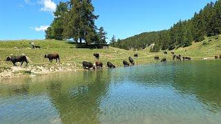 Valtournenche estate 2024 - Valle d'Aosta