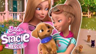 Barbie e Stacie conhecem NOVOS CACHORRINHOS! | Clipe de Filme | Barbie e Stacie ao Resgate!