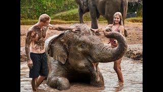 Elephant Mud Fun at Bali Zoo