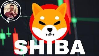 Shiba Inu SHIB Price Prediction 17 November 2024