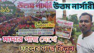 উত্তম নার্সারী মাদার গাছ দেখেফলের গাছ কিনুন Baruipur Nursery In Kolkata Surjapur