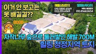 평창 면온IC에서 5분 토지 매매 / 전원주택지, 펜션부지 / 건축 바로 가능!