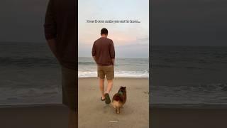 Walking on the same beach with my dog three years later