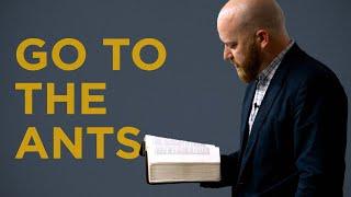 Go to the Ants | Toby Sumpter (Collegiate Reformed Fellowship)