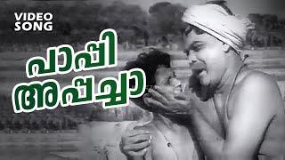 Paappi Appacha...| Malayalam Super Hit Comedy Song | Mayiladum Kunnu | Ft.Adoor Bhasi