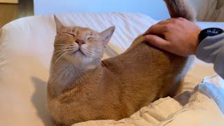 Happy lad lets out the cutest yawn after being tucked in