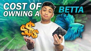 How Much Does a Betta Fish ACTUALLY Cost? Here's the TRUE Cost | Watch This Before Buying a Betta