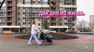 vlog\\ 2 дня из жизни с подругой, захламлённая квартира, кормлю кусочками