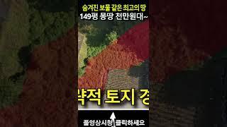 "주말 농장 꿈꾸는 여러분! 계곡 인근 149평땅이 완전 폭락하여 단돈 1500만원입니다. 일단 보시고 판단하세요~"