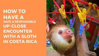 How to Have a Safe & Responsible Up Close Encounter With a Cute Sloth in Costa Rica.