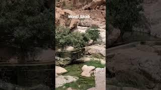 Wadi Shab is a very popular wadi located in the Al Sharqiyah Region in Oman.