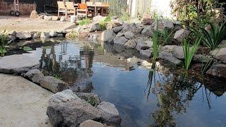 How to build an Ecosystem Pond 5m X 3.5m