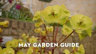 STIHL May Garden Guide with Jane Moore | May Gardening Jobs | STIHL GB