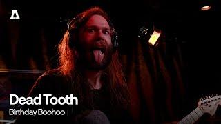 Dead Tooth - Birthday Boohoo | Audiotree Live