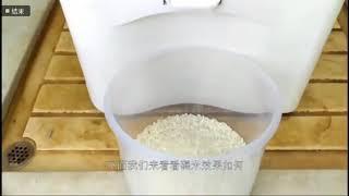 220V 500W automatic home use Mini Rice Mill rice milling machine 500g/min