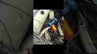 БУДНИ РЫБАКА. КоГда ВСё ПрекРаснО. И ПрироДа. И уЛОв.