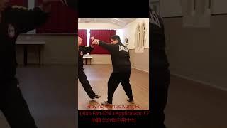 "Martial Mastery Unveiled: Praying Mantis Kung Fu Xiao Fan Che Application 17 Exploration! "小翻车好