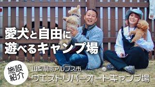 【キャンプ場紹介】愛犬たちが自由に走り回れるドッグランサイト｜ウエストリバーオートキャンプ場(山梨県)