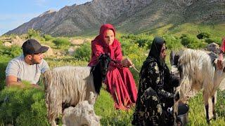 Deoora family, and reviving childhood memories with father by buying sheep #deoora