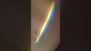 HOW TO MAKE RAINBOW  AT HOME #science #001 #real #shorts