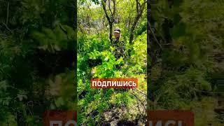 #уборка#заповедник#природа#garden #деньвдеревне #топ #садоводничество #лето