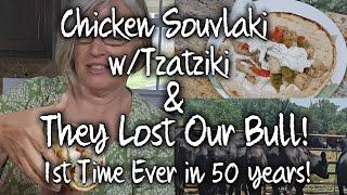 Chicken Souvlaki w/ Homemade Tzatziki Sauce~ SANDWICH WEEK. Plus Drama Around the Farm!