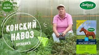 Конский навоз  - лучшее органическое удобрение для вашего сада и огорода. Добрая сила