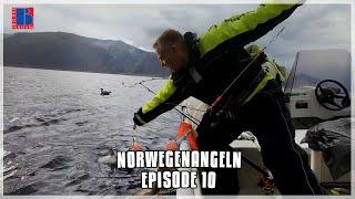 Norwegenangeln: Das Geheimnis der Unterwasserberge | Episode 10