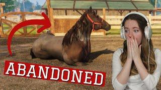 SAVING ABANDONED HORSES - Animal Shelter Horse Rescue | Pinehaven