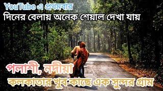 Rural village life of West Bengal.Bengali Village Vlog. Rural village life.Offbeat village of Bengal