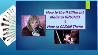 How To Use 11 Makeup Brushes & How To Wash Them!