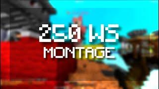 250 WS MONTAGE