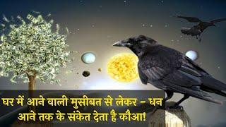 कौए के शुभ-अशुभ संकेत | जानें कब कौआ देखना सही होता है और कब गलत | Crow Shubh Ashubh Sanket