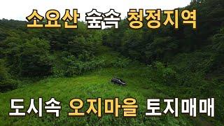 매물165 경기의 소금강 소요산 숲속 청정마을 체류형쉼터 토지 매매