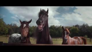 Новая смешная реклама Volkswagen с участием лошадей