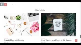 Milana top Wordpress Theme Review & Bonus