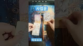 서나세상타로모모#사업운타로 #타로상담 #재물운#금전운