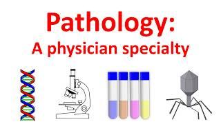 What is Pathology? (Laboratory Medicine, Molecular Testing, Pathology Residency, Fellowship, Career)