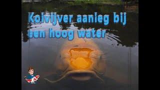 Koivijver aanleggen bij hoge grondwaterstand