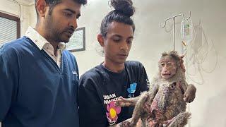 MONKEY BABY RESCUED !! Monkey ko laga shock!!! Rescued