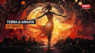 Tebra & Arkaya - At Night (Official Visualiser)