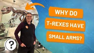 Why do T-Rexes have small arms? | But Why Bites