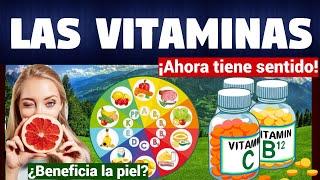 TODO SOBRE LAS VITAMINAS | TIPOS Y FUNCIONES | CARACTERISTICAS