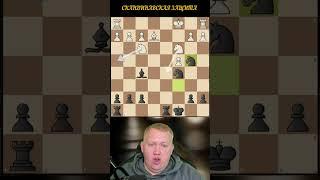 Скандинавский гамбит за чёрных! Шахматы