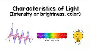 Characteristics of Light | Animation